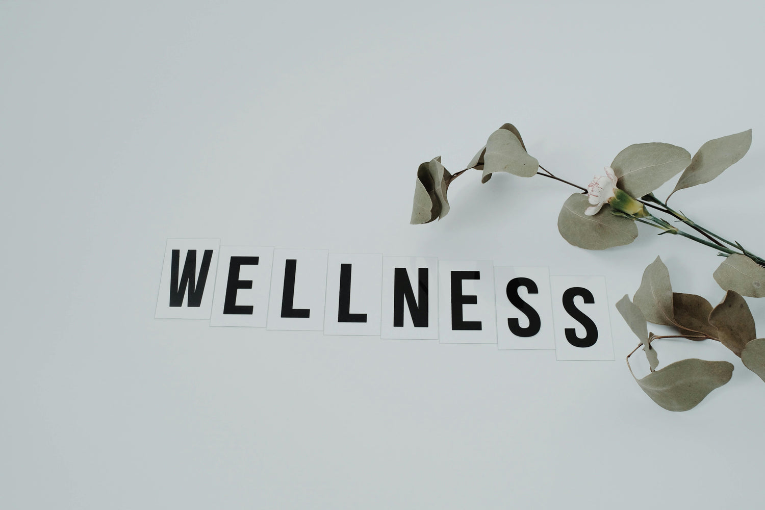 Self Care And Wellness